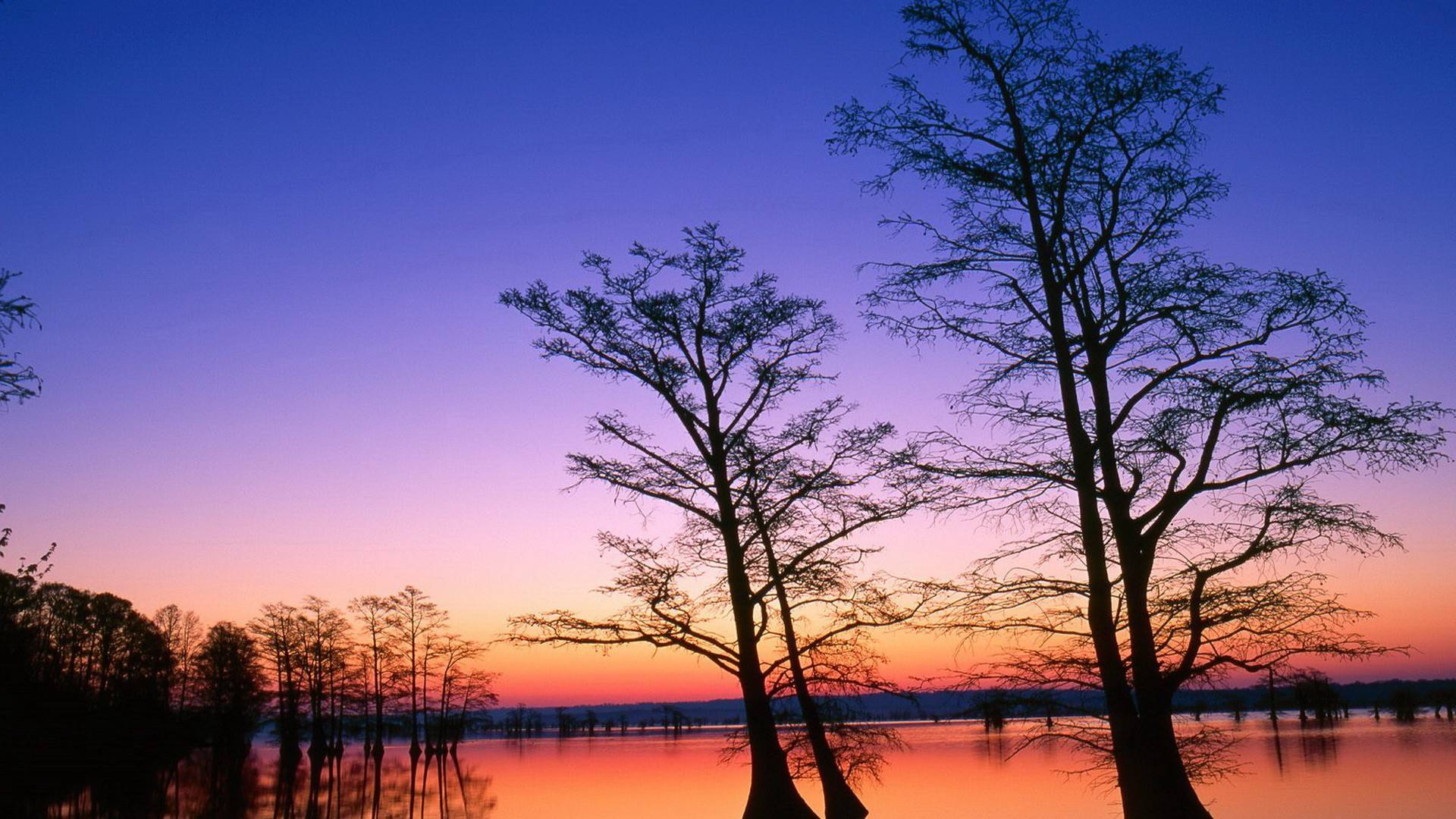 滾珠絲杠如何維護呢？